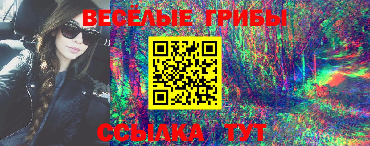 Артём  Галлюциногенные грибы Magic Shrooms  Вход с VPN 
