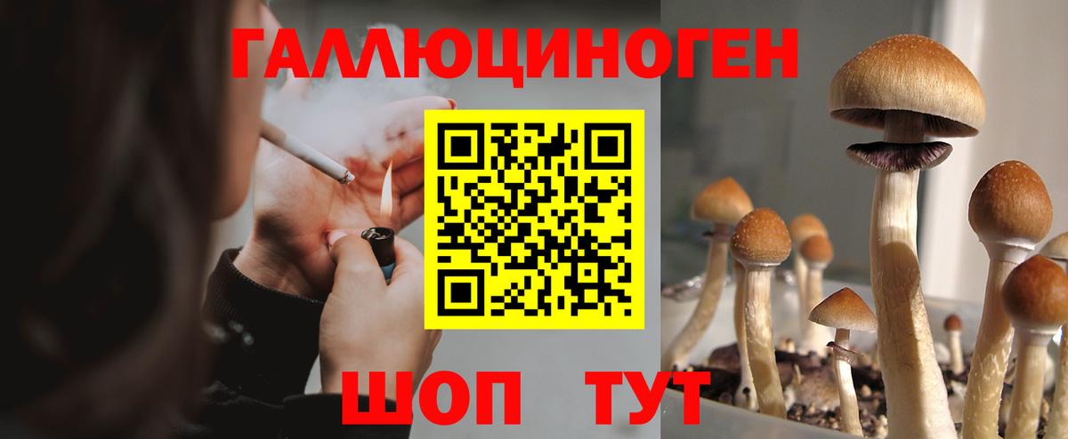 Галлюциногенные грибы GOLDEN TEACHER Артём